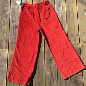 Amuse society corduroy pants